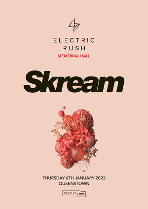 Electric Rush ft. Skream photo