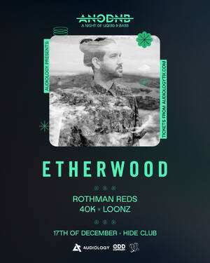 Etherwood (UK) | Christchurch photo