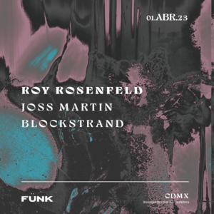 Roy Rosenfeld + Joss Martin + Blockstrand en Fünk Club photo